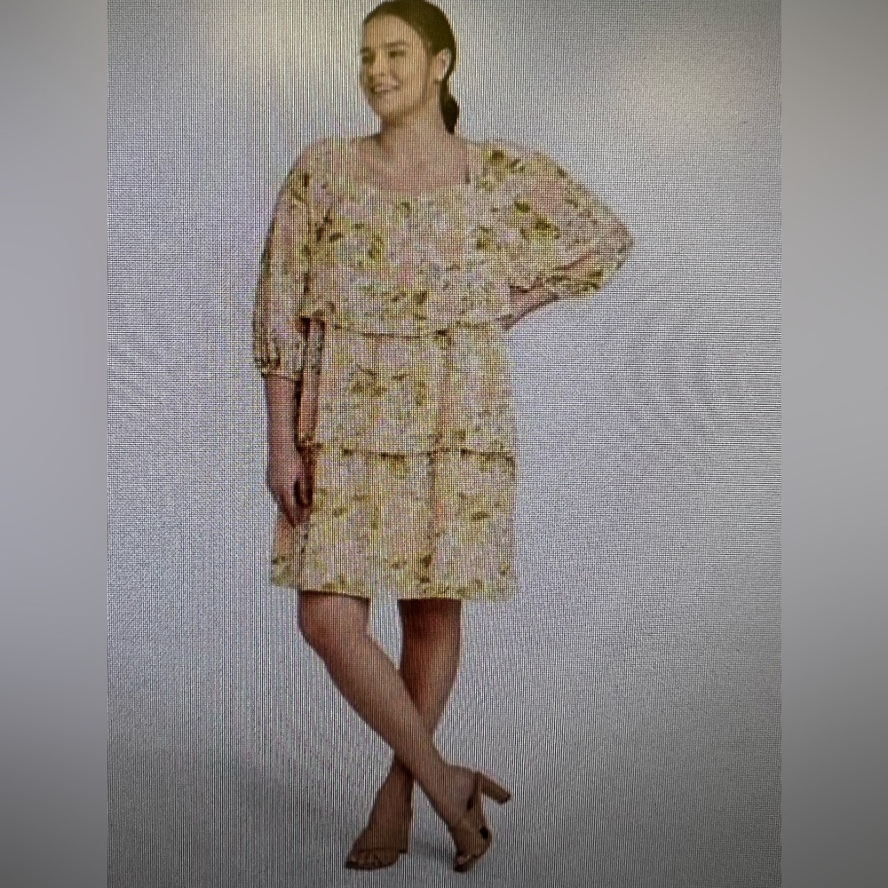 Who What Wear tier dress size 3x.